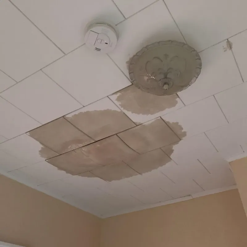 Ceiling Water Damage Repair in Youngstown, OH