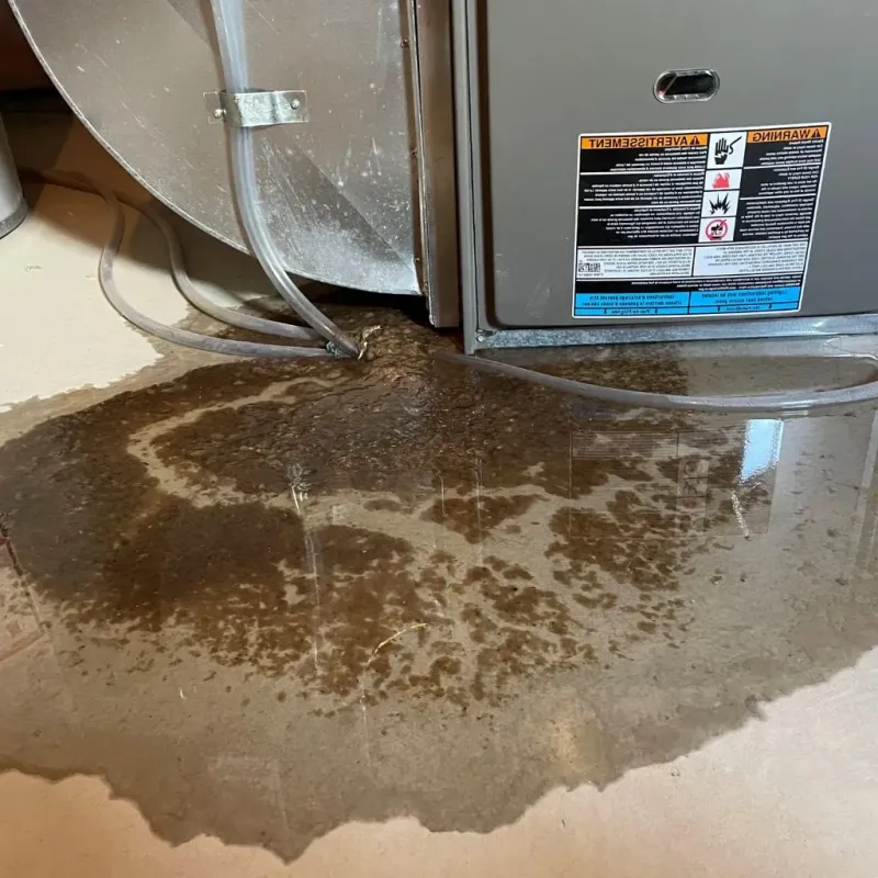 Pipe Burst and Leak Restoration in Youngstown, OH